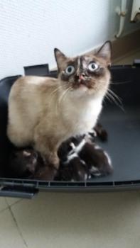 Maman 8 bebes
